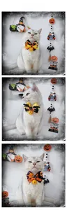 Three Halloween pet bow ties with bells shown on a cat in a festive studio setting