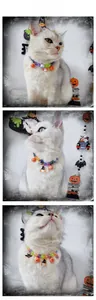 Close-up of cat wearing Halloween pet collar with pumpkin, ghost, and bat charms