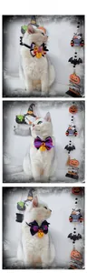 Detailed view of cat wearing Halloween bow ties with bells in orange, purple and black