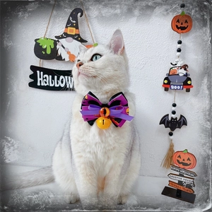 Halloween pet bow collar with bat patterns and bell on a cat, orange and black style