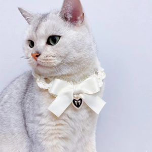 Collier tricoté chic pour animaux avec nœud crème et pendentif cœur doré sur un chat