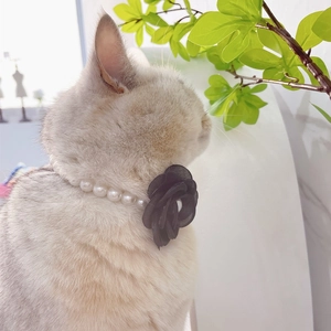 Elegant pet pearl necklace with a vintage black mesh flower for cats and small dogs