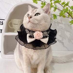 Collier élégant en dentelle pour chat avec rose rose et nœud crème, style raffiné