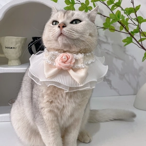 Collier en dentelle pour animaux avec rose rose et perle sur un chat gris
