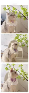 Three cats wearing princess-style pet bibs with lace edges and heart love embroidery