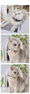 Close-up of lace pet collar with a delicate bow and pearl heart pendant on a cat