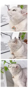 Makroaufnahme einer weißen Perlenkette mit Regenbogen-Anhänger für eine weiße Katze