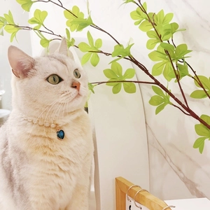 Cat pearl necklace featuring a blue heart gemstone pendant for small pets