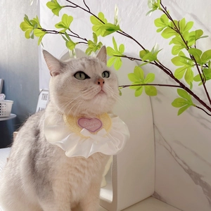 Cute cream pet bib with heart embroidery and bow for cats and small dogs