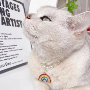 Frische Sommer-Haustierperlenkette mit Regenbogenanhänger für weiße Katzen