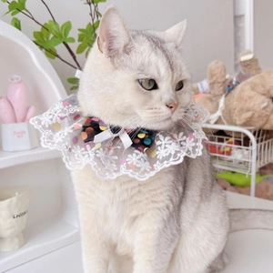 Elegant pet lace collar with a black polka dot bow and a heart pearl charm for cats