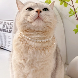 Close-up of a double-layer pearl and rhinestone pendant necklace on a white cat