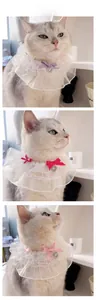 Close-up of double-layered lace pet collars with silk bows and heart-shaped pendants
