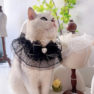 Close-up of black lace pet collar with polka dot mesh, bowknot and heart pearl detail