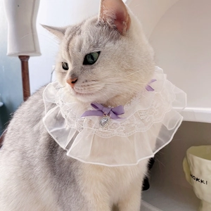 Detail of white double-layer lace pet collar with purple bow and heart pendant on a cat