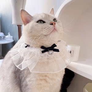 Elegant white layered lace pet collar with a black velvet bow and heart crystal charm