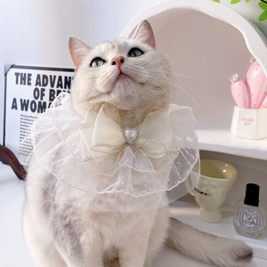 Elegant white lace pet collar with a cream bow and heart pearl on a white cat