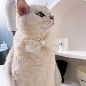 Collare in pizzo per animali con fiocco, cuore di perla e strass per gatti e cani piccoli