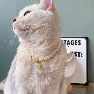 Elegant white cat wearing a Chinese style faux pearl pet necklace with jade pendant