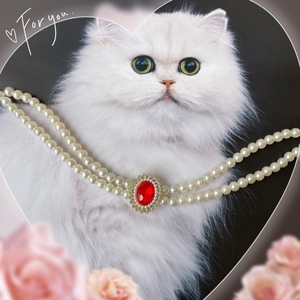 Double-layer pearl pet necklace with a large red gemstone pendant on a white cat