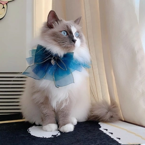 Dunkelblaues Haustierhalsband mit Pailletten-Schleife und Herzanhänger für Katzen