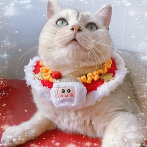 Detail of hand-knitted Christmas pet scarf with plush 3D Santa and gold stars