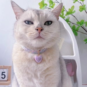 Sweet lavender pet collar with colorful dots and purple heart pendant for cats and dogs