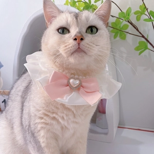 Collare per gatti con fiocco rosa, pizzo bianco e perla a cuore per cani piccoli