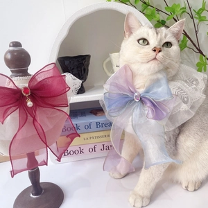 Collier en dentelle pour animaux avec grand nœud en organza et pendentif en pierre fine