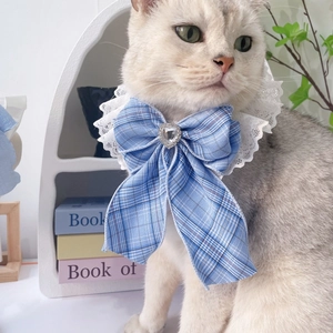 Blue plaid pet collar with lace bow and heart crystal on a golden British cat