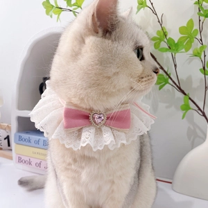 Dettaglio del collare in pizzo per animali con fiocco rosa e gemma a cuore su un gatto