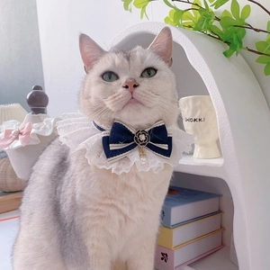 Collare in pizzo per animali con fiocco a righe blu e ciondolo a perla con camelia