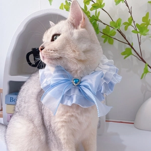Lace pet collar with blue ribbon bow and heart gem for small cats or dogs