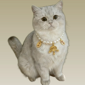 Cat wearing pearl pet necklace with golden Chinese fortune lock and blessing charms