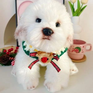 Handmade crochet Christmas reindeer collar on a white plush dog toy in festive setting