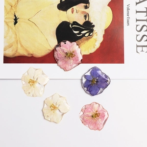 Irregular Resin Real Dried Flower Charms Natural Daisy Pendants For DIY Jewelry Making Earrings Necklace Accessories Women Gift