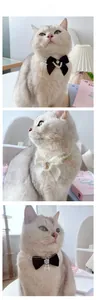 Dettaglio della collana di perle a doppio strato per animali con un grande fiocco