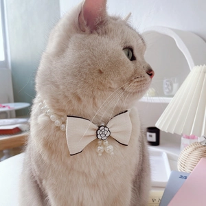 Collana per animali a doppio strato di perle stile francese con fiocco e camelia