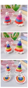 Vue détaillée des chapeaux et bavoirs arc-en-ciel pour animaux avec pompons blancs