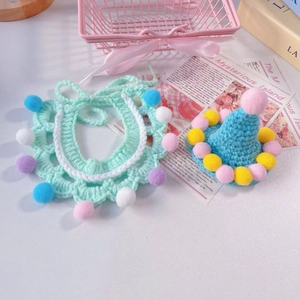 Close-up of mint green knitted bib with colorful pompoms and blue party hat for small pets