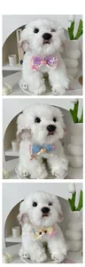 Detailed tile display of three plush Maltese dog dolls with colorful bow tie collars