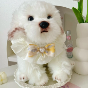 Collier nœud papillon mignon pour animal sur peluche de chien blanc, décor épuré