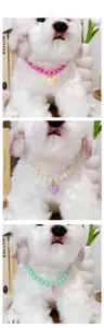 Three color variants of beaded pet collars with heart pendants on a model dog