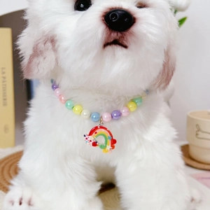 Close-up of a colorful macaron beaded pet necklace with a cute rainbow pendant on a dog