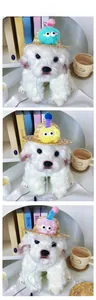 Detail of pet straw hat with colorful pom-pom monster eyes on a white plush dog doll