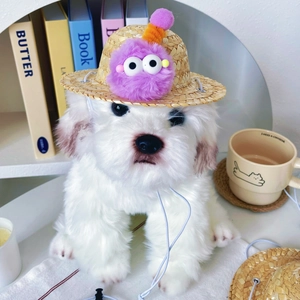 Detail of pet straw hat with colorful pom-poms and monster patch on a white plush dog