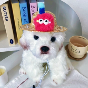 Detail of woven pet straw hat with plush character and adjustable strap on a dog model
