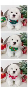 Detail of festive pet Christmas bibs with lace trim and Santa prints in red and green