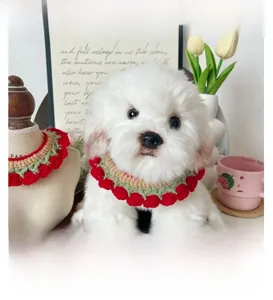Close-up of handmade red and green knit pet collar with floral detail on a white dog