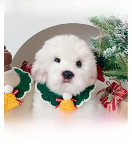 Detail of hand-knitted pet Christmas collar with bell on a white dog model